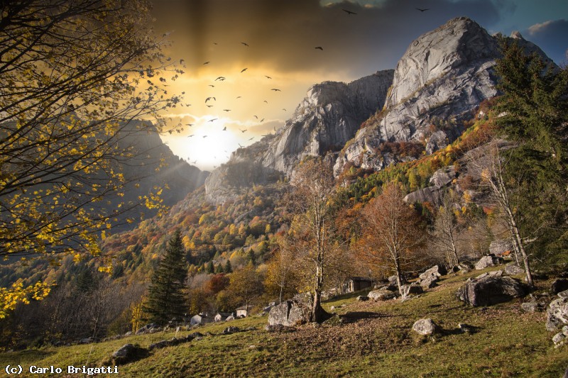 Immagine scorrevole: Val Masino
