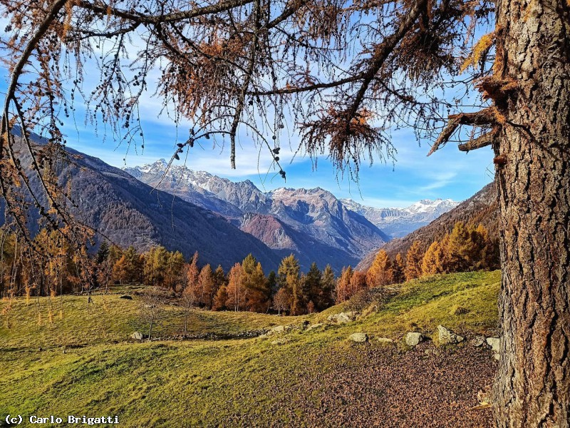 Immagine scorrevole: Una cartolina dalla Valmalenco